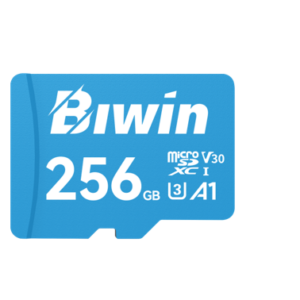 BIWIN BMMS100256G-RGX MS100-256G microSD3.0 Read & Write Speed up