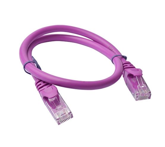 CB8W-PL6-0.25PUR.jpg 8ware 8W-PL6-0.25PUR CAT6 Cable 0.25m - Purple Premium RJ45