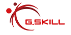 G.SKILL logo