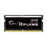 G.SKILL F5-4800S4039A16GX1-RS 16GB (1 x 16GB)/ DDR5 4800 MT/s