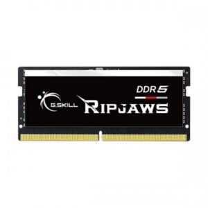 G.SKILL F5-4800S4039A16GX1-RS 16GB (1 x 16GB)/ DDR5 4800 MT/s