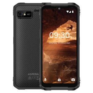Aspera P02242601 R10 4G 128GB - Black (P02243101) *AU